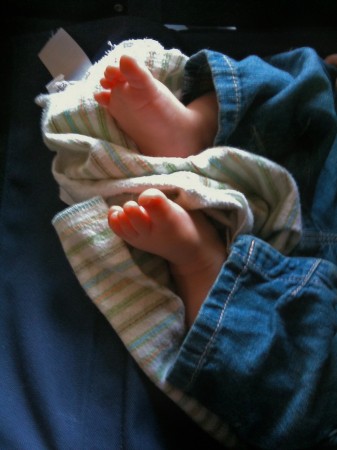 Is there anything more perfect? Enlargement not available. Baby Feet