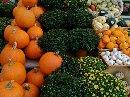 Autumn produce.