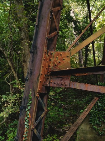 I particularly like the greens and oranges at the intersection of this image, and the aspirational tendril of ivy climbing up from below. | No enlargement available. Old railroad pylon.