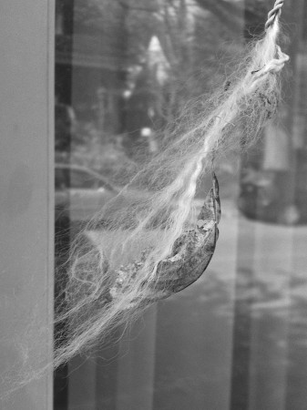 Leaf caught in frayed rope.