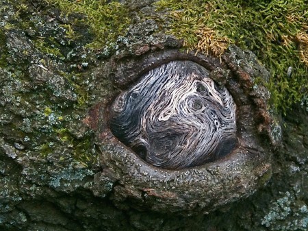 Unusual knot