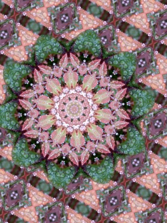 Kaleidoscopic design