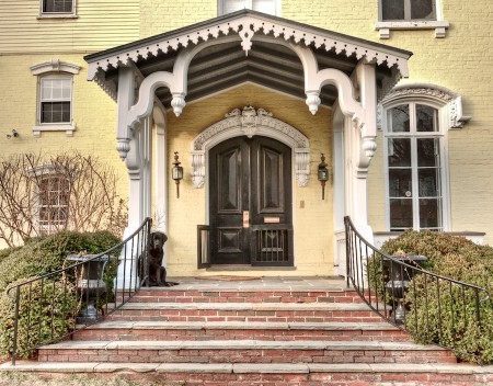 Dog in Doorway, Georgetown, Washington DC