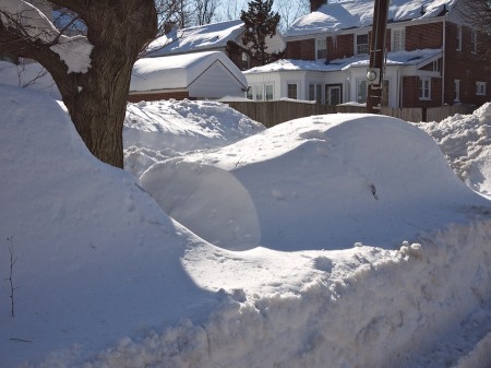Call buried in snow drift.