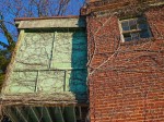 Building covered with old vines.