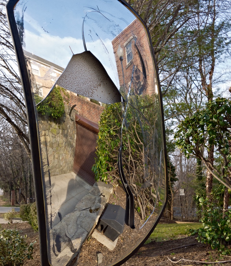 Landscape in Mirror