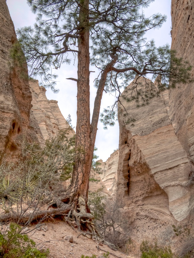 Tent Rock Park, New Mexico