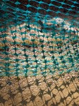 Turquoise net.