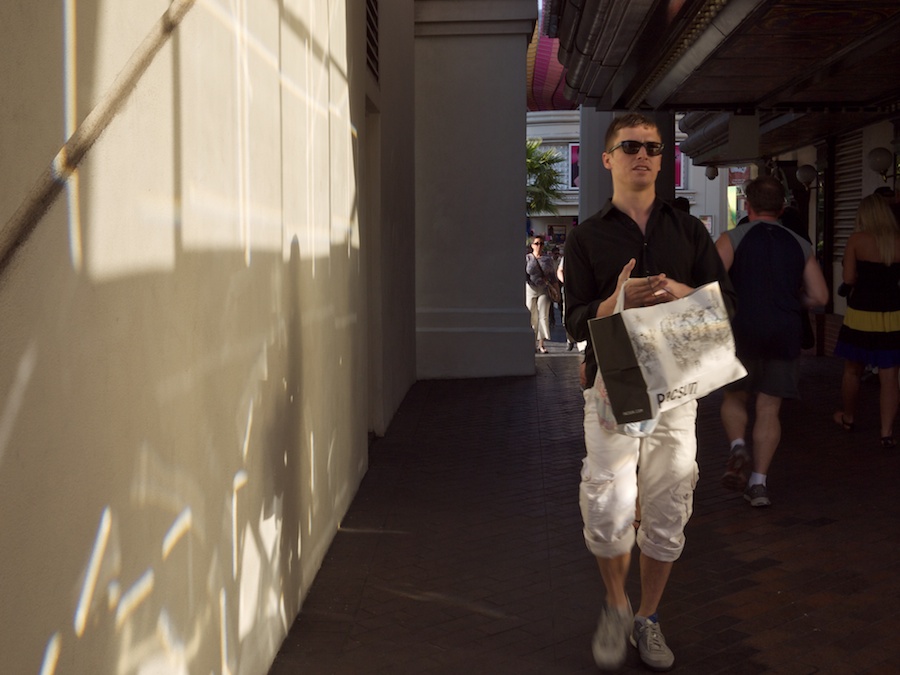 Walking Shopper (male)