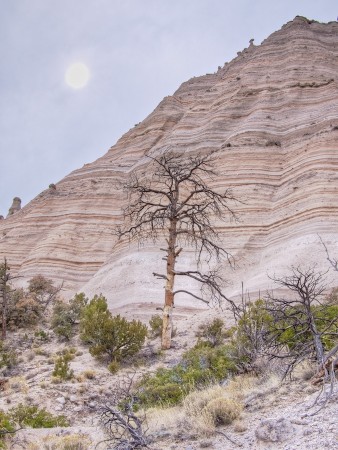 Cliffs, Tent Rock Park, NM
