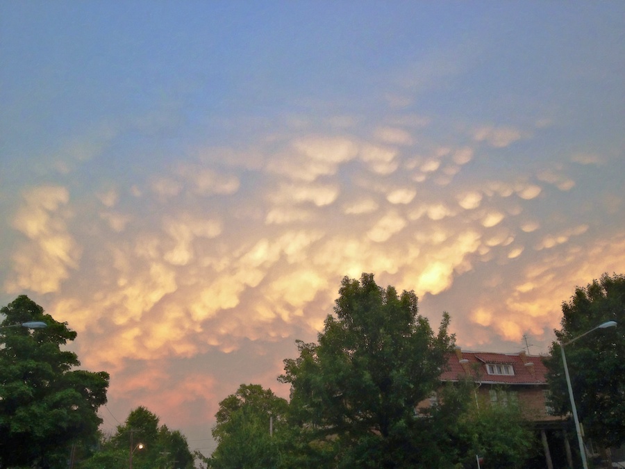 Twilight mamillae, Washington, DC
