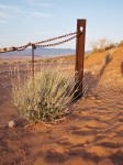 Brush Gate