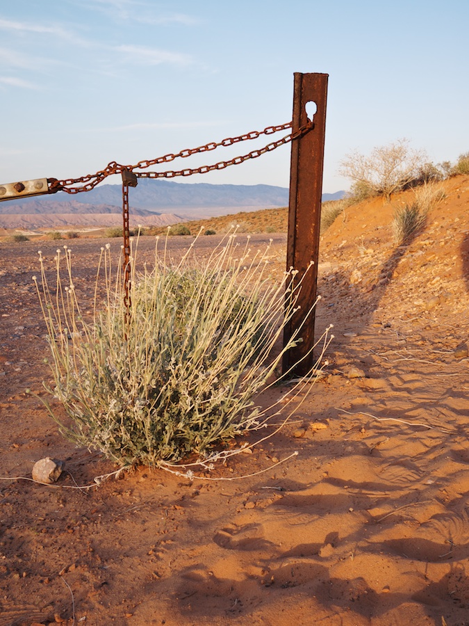 Brush Gate
