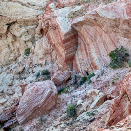 Rocks at Fire Canyon, Valley of Fire, NV