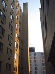 Late afternoon light between buildings.