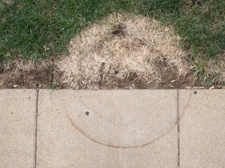 Clues to a missing garbage can.