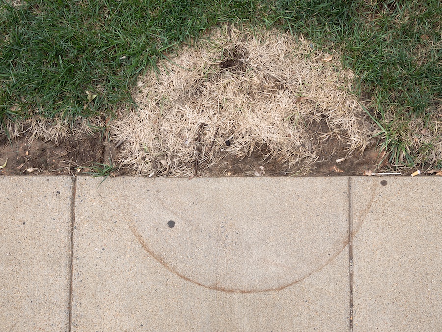 Clues to a missing garbage can.