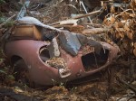 Old sportscar buried under detritus.