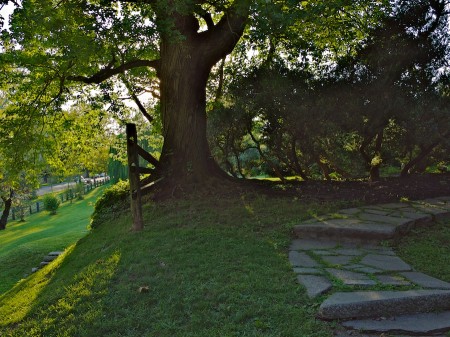 Rosedale Conservancy, Washington, DC