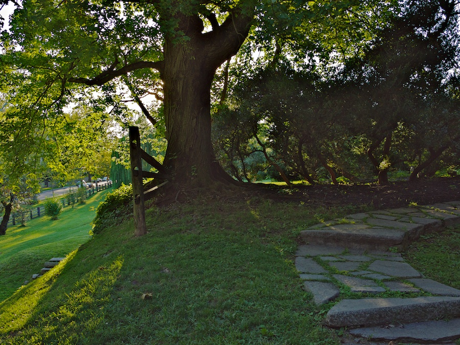 Rosedale Conservancy, Washington, DC