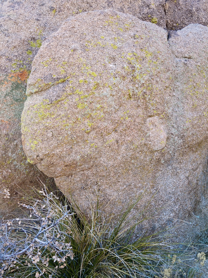 Sandia, NM