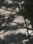 Sidewalk with shadows.