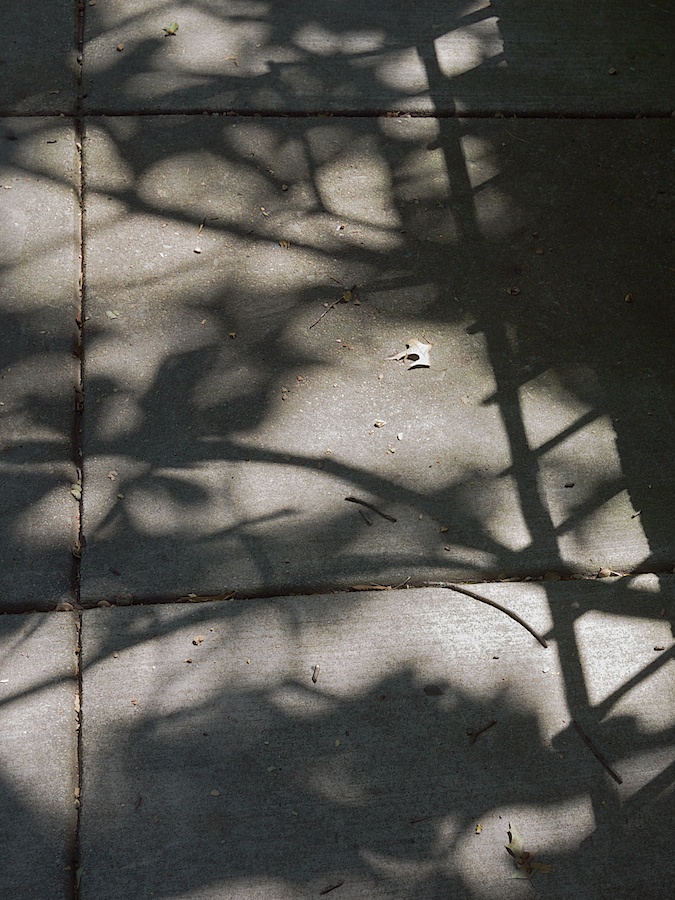 Sidewalk with shadows.