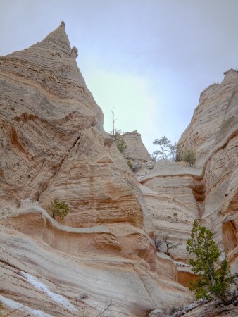 Cliffs at Tent Rock Park, NM