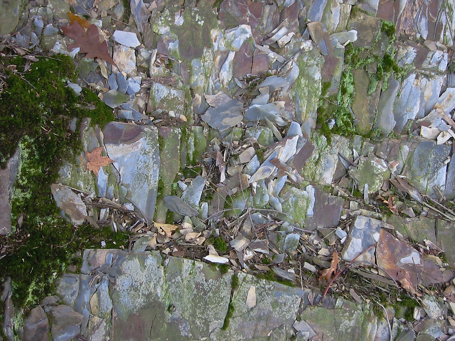 Hudson shale.