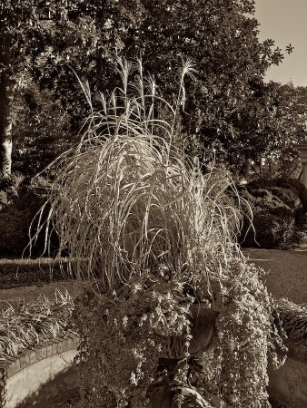 Garden at the Textile Museum, Washington, DC