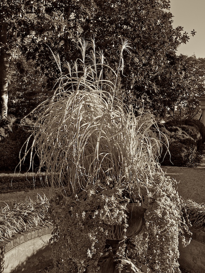 Garden at the Textile Museum, Washington, DC