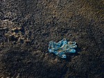 Blue latex glove on pavement.