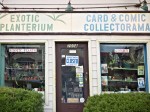 Curio shop, Del Ray, Alexandria, VA