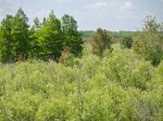 Vista at Corkscrew Swamp, FL