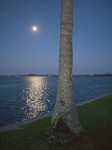 Almost-supermoon rises over Ft. Myers, FL