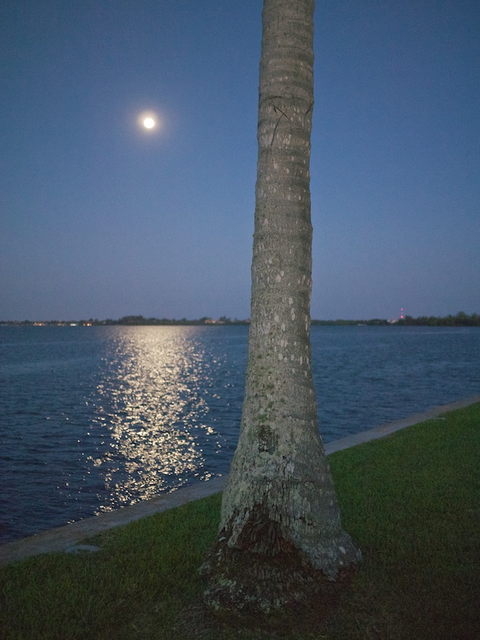 Almost supermoon rises over Ft. Myers, FL