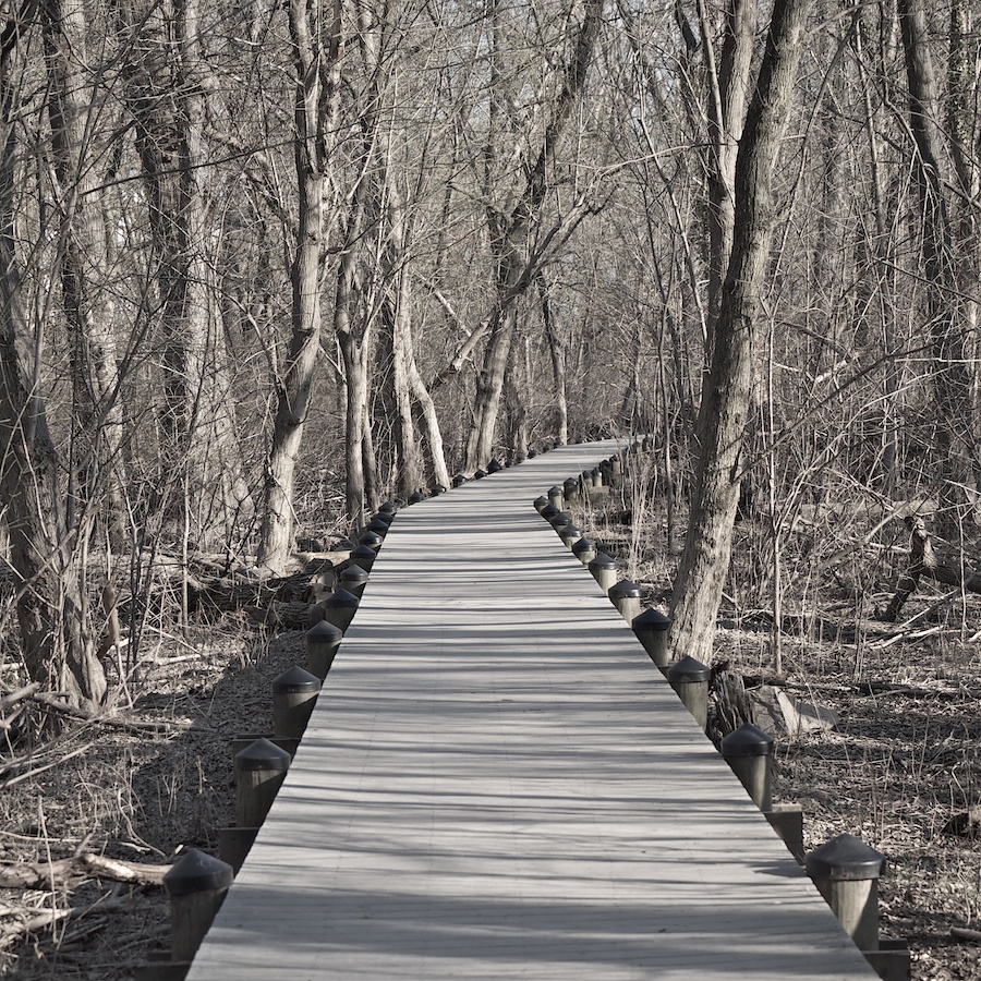 Wooden boardwalk, Roosevelt Island, Washington, DC