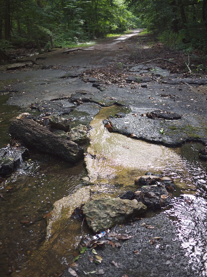 Stream along blacktop, Klingle Rd., NW, DC