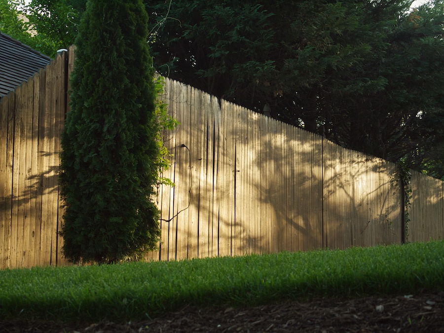 Wooden fence in late afternoon light.