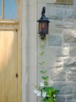 Flowering vine climbs to lamp.