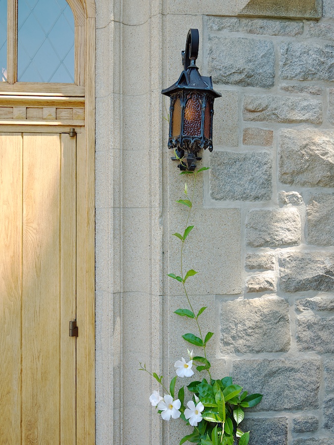 Flowering vine climbs to lamp.