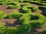 Upper garden at Mt. Vernon, VA