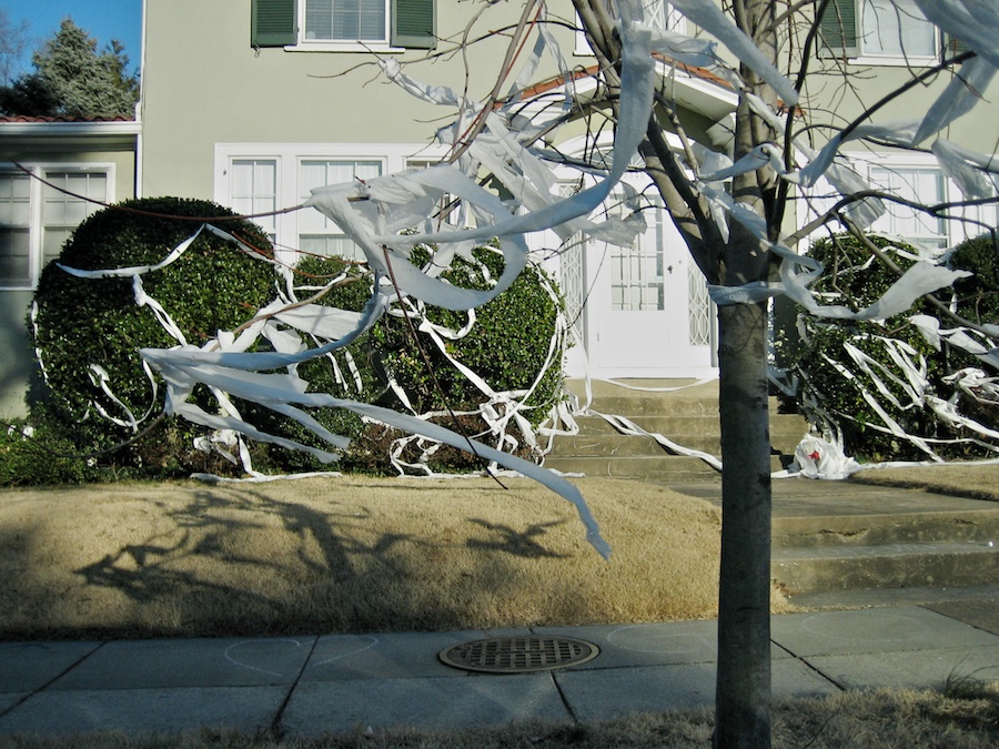 TP'd house.