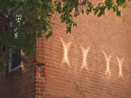 Window reflections on a brick wall.