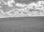 Dune footsteps leading to people on a faraway horizon.