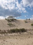 Jockey's Ridge, NC