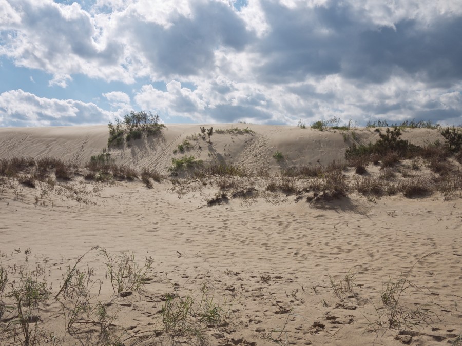 Jockey's Ridge, NC