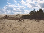 Jockey's Ridge, NC