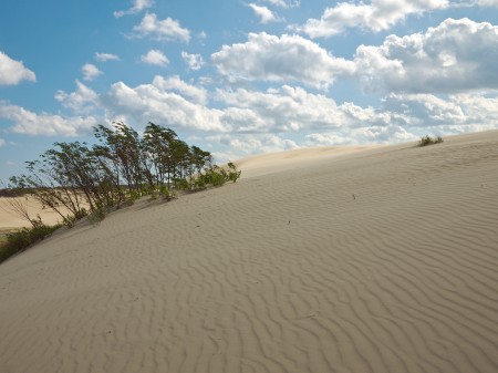 Jockey's Ridge, NC