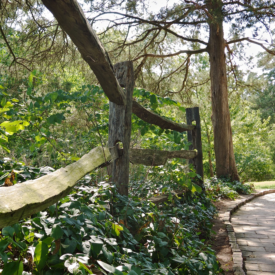 Path at Mt. Vernon, VA